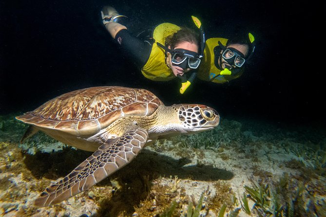 cancun bioluminescence tour