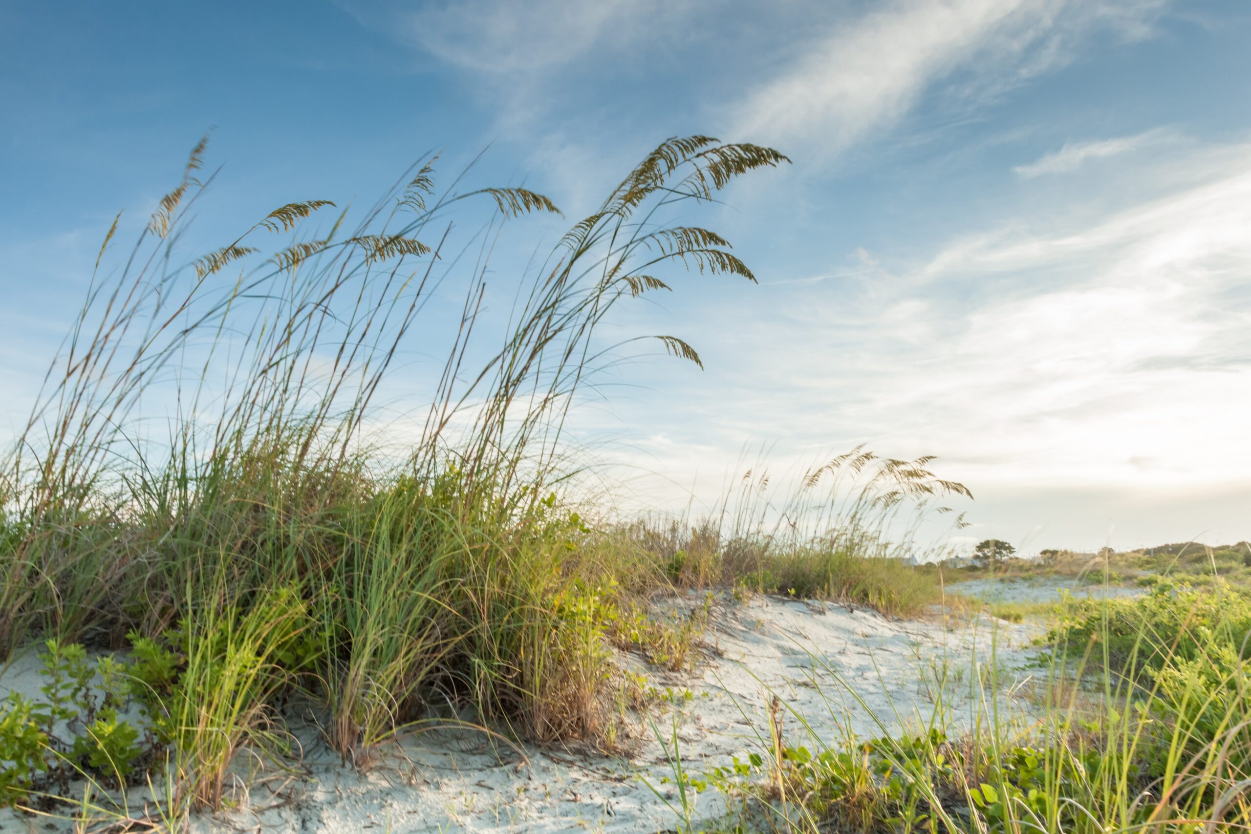 10 Best Things To Do In Hilton Head Island 2024 Cool Destinations   Twilight Dunes Path 482744073 3869x2579 Scaled 