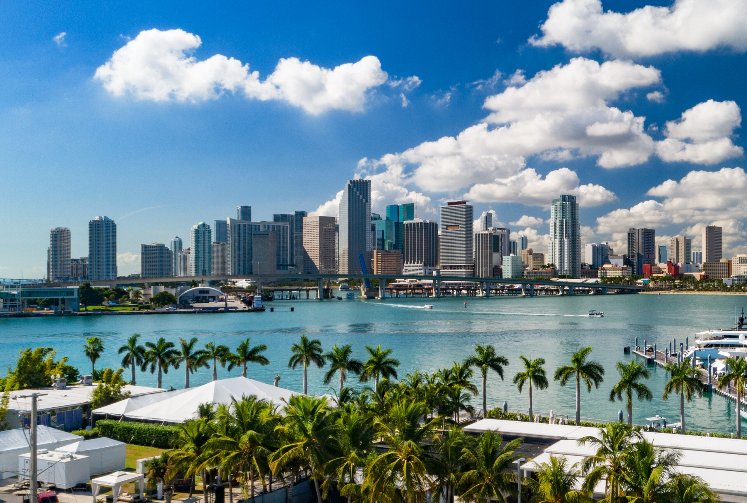 The Top 10 Miami Tours, Tickets & Activities 2024