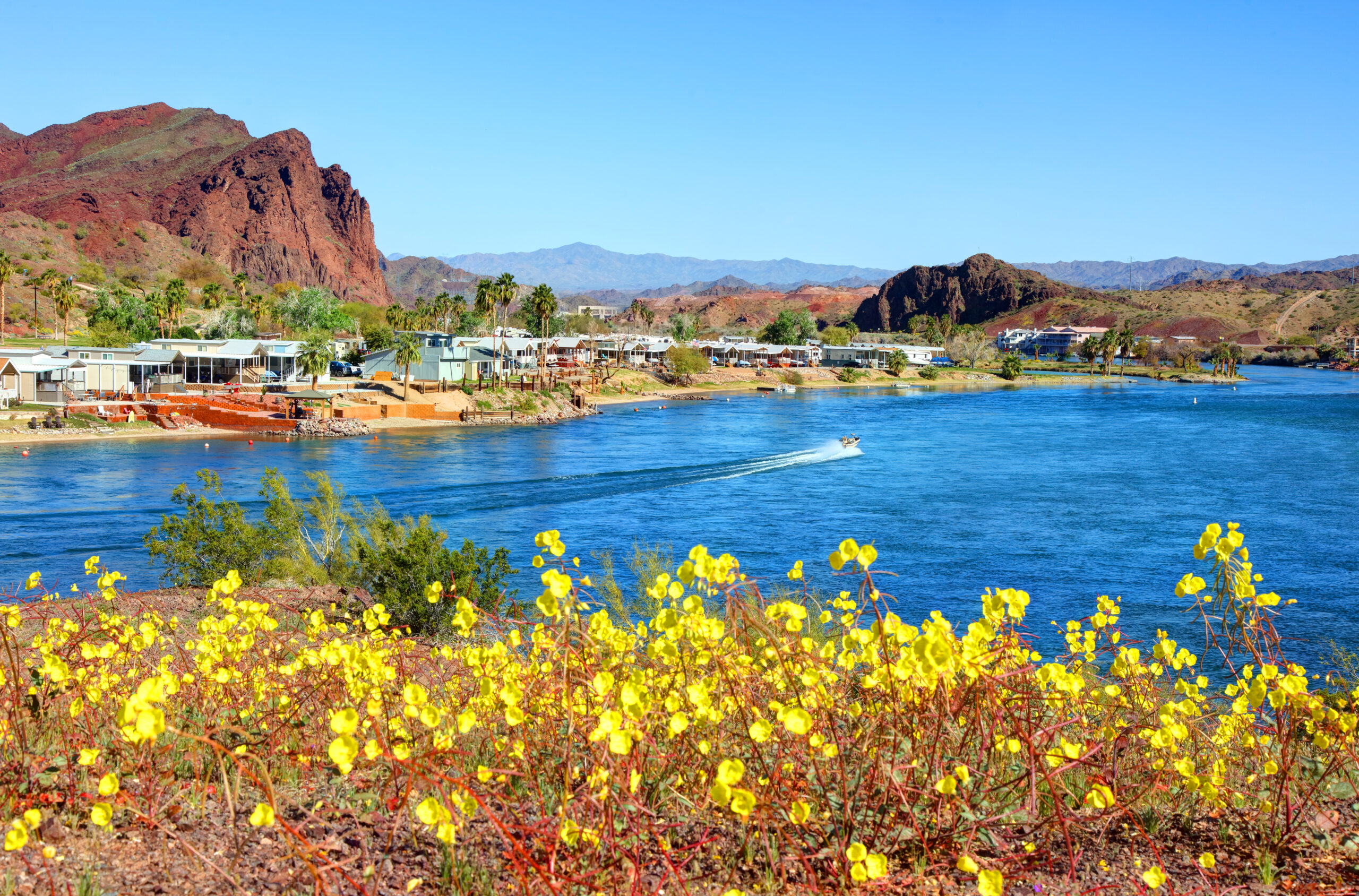 The Top 10 Lake Havasu Tours, Tickets & Activities 2024